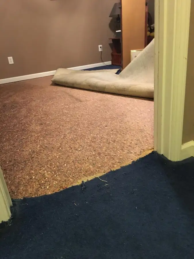 Carpet pad removal revealing water damage during Water Mitigation Services in Starke