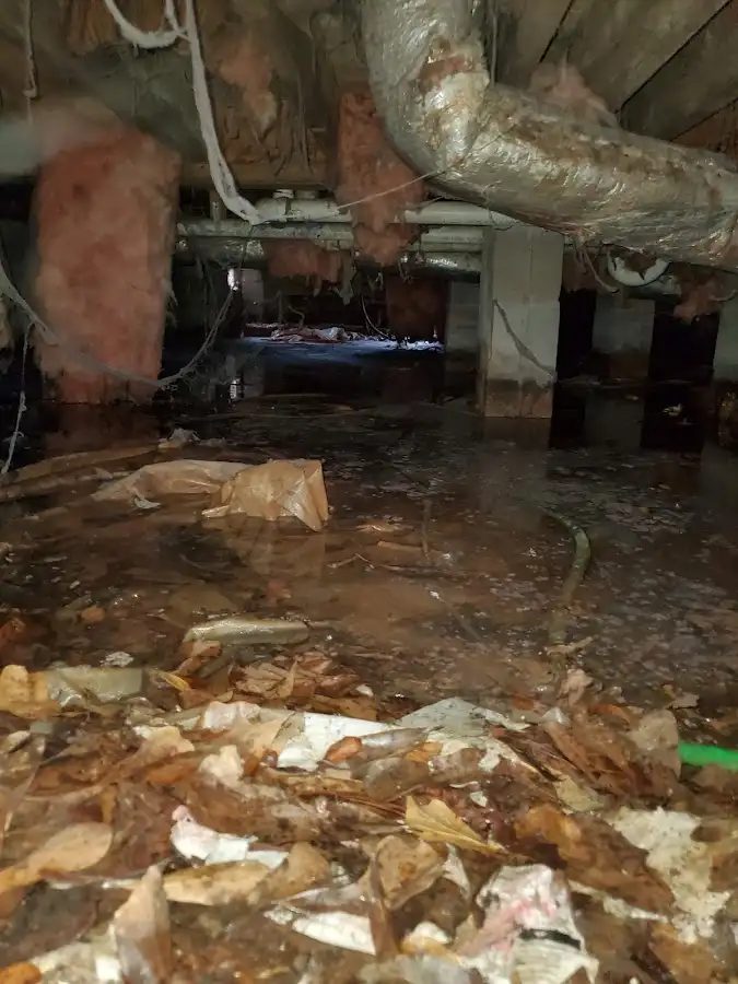 Crawl space flood assessment for Leak Detection & Repair in Starke
